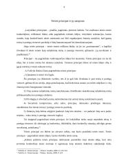 Teisės principai, rūšys, jų praktinė analizė 4 puslapis