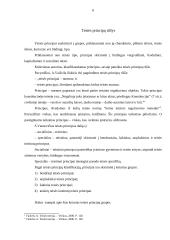 Teisės principai, rūšys, jų praktinė analizė 6 puslapis