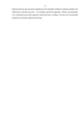 Teisės raida 17 puslapis