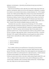 Teisės raida 3 puslapis