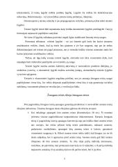 Teisės socialinė paskirtis, raida ir funkcijos 5 puslapis