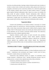 Teisinė atsakomybė, jos rūšys bei principai 5 puslapis