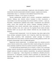Teisinė atsakomybė kaip procesas: pozityvioji ir negatyvioji teisinė atsakomybė 3 puslapis