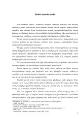 Teisinė idėja - teisinės normos pradžia 3 puslapis