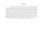 Teisinės sąmonės ir teisinės kultūros sąsajos 13 puslapis