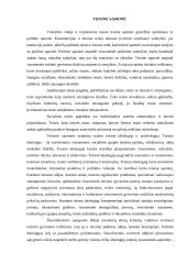 Teisinės sąmonės ir teisinės kultūros sąsajos 4 puslapis