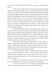 Teisinės sąmonės ir teisinės kultūros sąsajos 5 puslapis