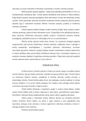 Teisinės sąmonės ir teisinės kultūros sąsajos 8 puslapis