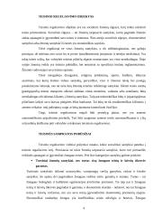 Viskas apie teisinį reguliavimą 4 puslapis