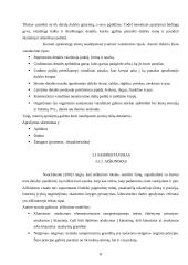 Teksto tipai: pasakojimas, aprašymas, samprotavimas 8 puslapis