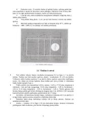 Tinklinio aikštė ir įrenginiai bei tinklinio taisyklės 5 puslapis