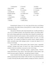 Tinklo etiketas 17 puslapis