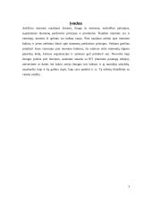 Tinklo etiketas 3 puslapis