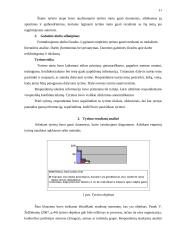 Tyrimo objekto nustatymo ypatumai 11 puslapis