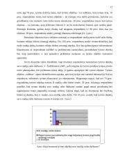 Tyrimo objekto nustatymo ypatumai 12 puslapis