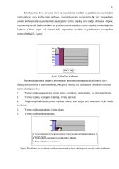 Tyrimo objekto nustatymo ypatumai 13 puslapis
