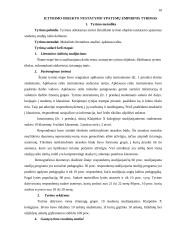 Tyrimo objekto nustatymo ypatumai 10 puslapis