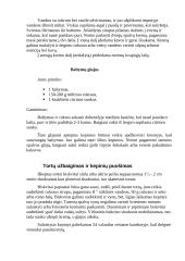 Tortai ir kepiniai 3 puslapis