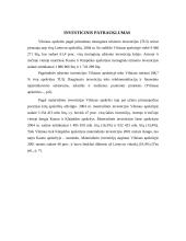 Transporto tinklo Išvystymas 2 puslapis