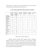 Transporto tinklo Išvystymas 4 puslapis