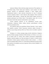 Transporto tinklo Išvystymas 7 puslapis