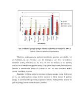 Transporto tinklo Išvystymas 8 puslapis