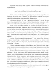 Trenerio asmenybės ugdymo galimybės 8 puslapis