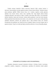 Užsieniečių įvažiavimo sąlygos į Lietuvos Respubliką 2 puslapis