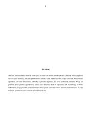 Užsieniečių įvažiavimo sąlygos į Lietuvos Respubliką 9 puslapis