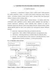 Vadybos niuansai Lietuvos kaimo turizmo versle 8 puslapis