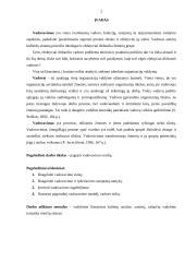 Vadovavimo svarba 2 puslapis