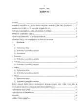 Vadovo ir pavaldinio bendravimo etiketas 2 puslapis