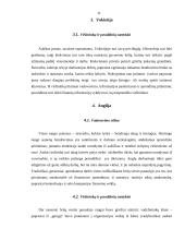 Vadovo ir pavaldinio bendravimo etiketas 11 puslapis