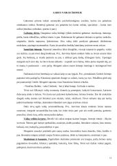 Vaiko auklėjimas šeimoje 13 puslapis