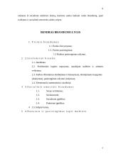 Vaiko branda mokyklai 6 puslapis