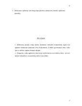 Vaiko branda mokyklai 8 puslapis