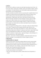 Vaikų skatinimo būdai šeimoje 3 puslapis