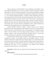 Pagrindinė vaikų teisių tarnybų veikla Lietuvoje ginant vaikų teises 2 puslapis