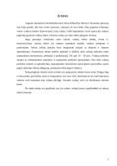 Valiutų rinka Lietuvoje 2 puslapis