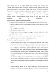 Valiutų rinka Lietuvoje 12 puslapis