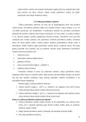 Valiutų rinka Lietuvoje 13 puslapis