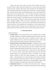 Valiutų rinka Lietuvoje 5 puslapis