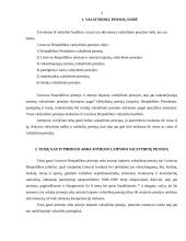 Valstybinių pensijų esmė 3 puslapis