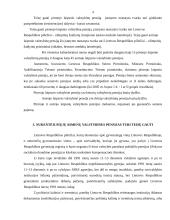 Valstybinių pensijų esmė 4 puslapis