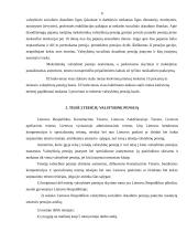 Valstybinių pensijų esmė 6 puslapis