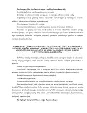 Valstybinių pensijų esmė 7 puslapis