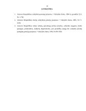 Valstybinių pensijų esmė 10 puslapis