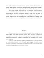 Valstietiškasis pasaulis ankstyvojoje K. Bradūno poezijoje 6 puslapis