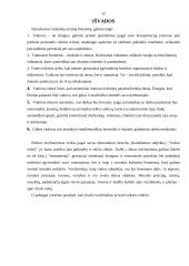 Verslininko etiketas 12 puslapis