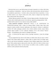 Verslininko etiketas 2 puslapis